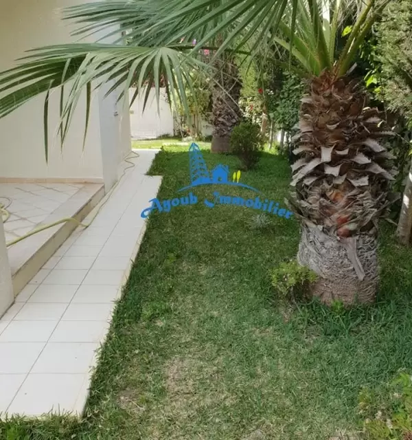 Ayoub Immobilier