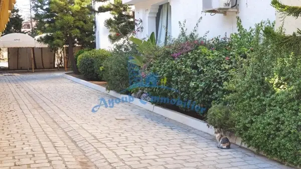 Ayoub Immobilier