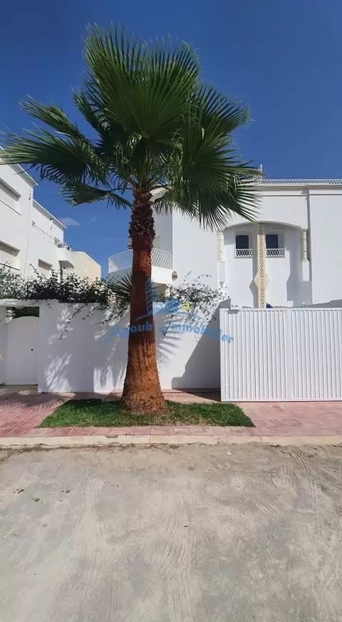 Ayoub Immobilier