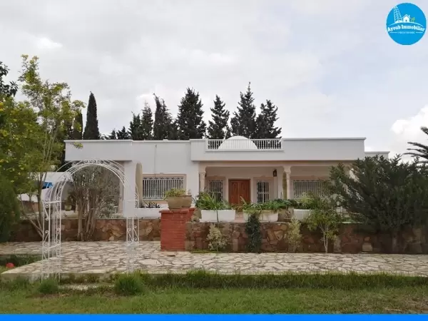 Ayoub Immobilier