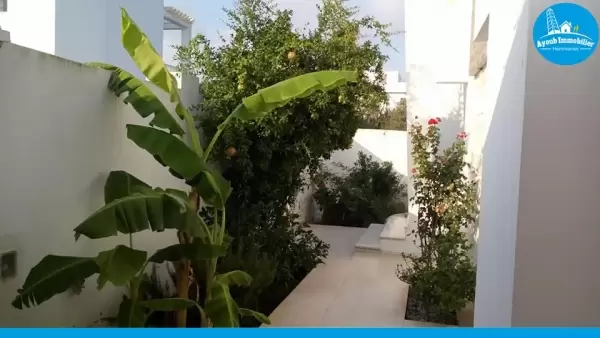 Ayoub Immobilier