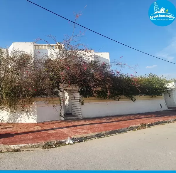 Ayoub Immobilier