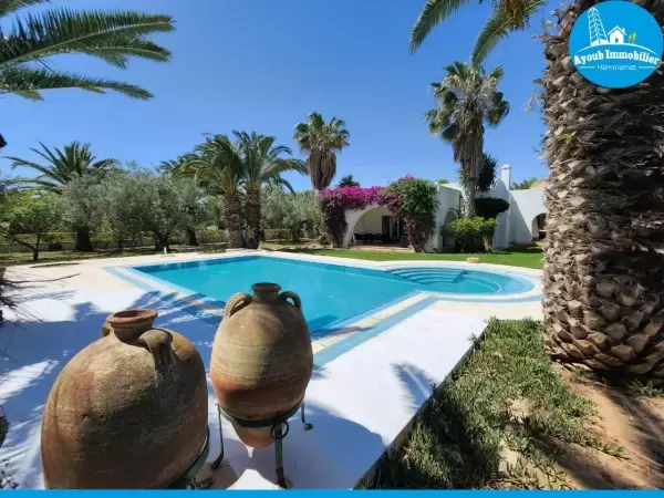 Ayoub Immobilier