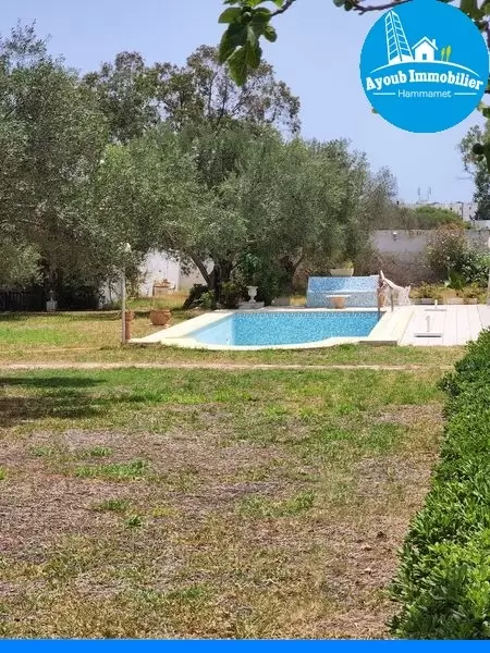 Ayoub Immobilier