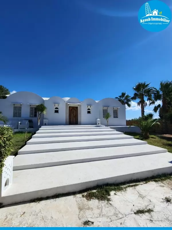 Ayoub Immobilier