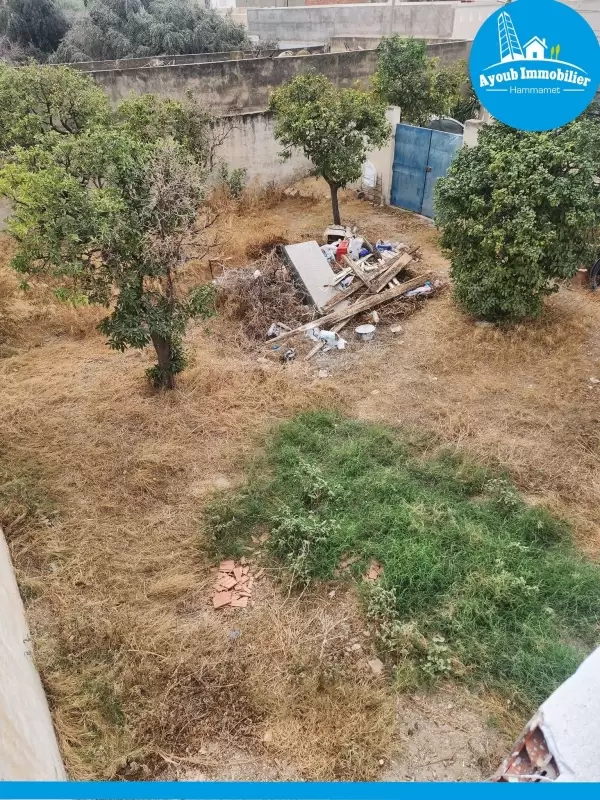 Ayoub Immobilier