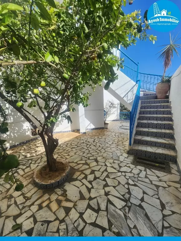 Ayoub Immobilier