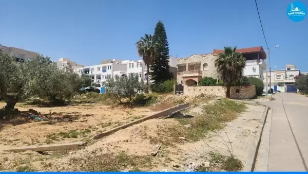 Ayoub Immobilier
