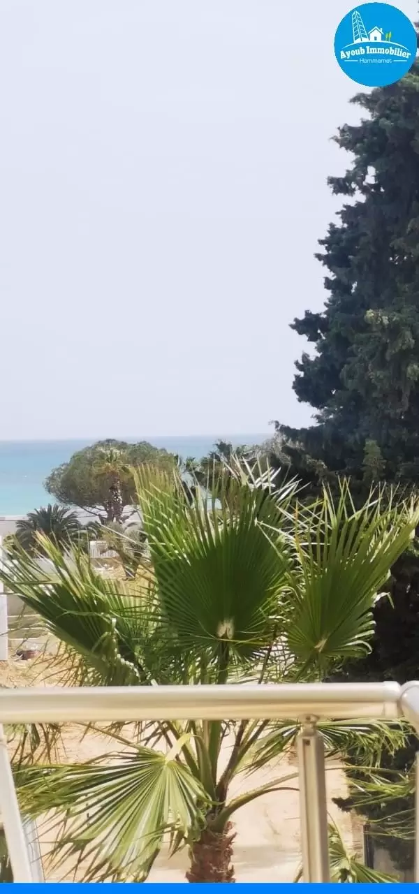 Ayoub Immobilier