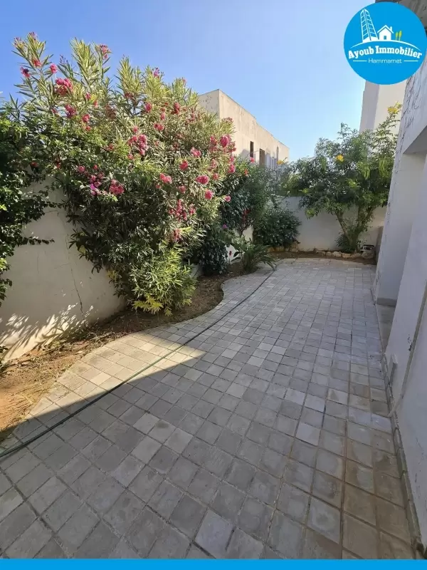 Ayoub Immobilier
