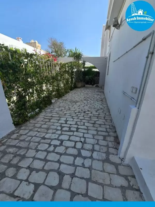 Ayoub Immobilier