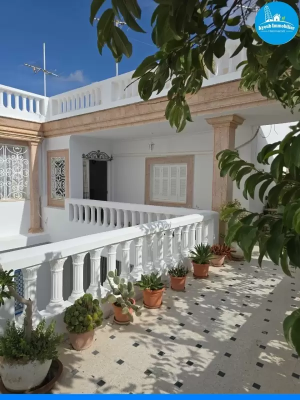 Ayoub Immobilier