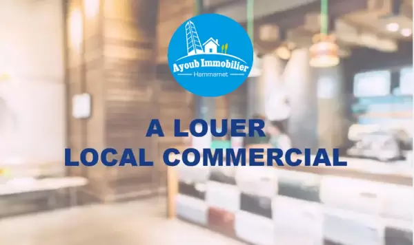 Ayoub Immobilier