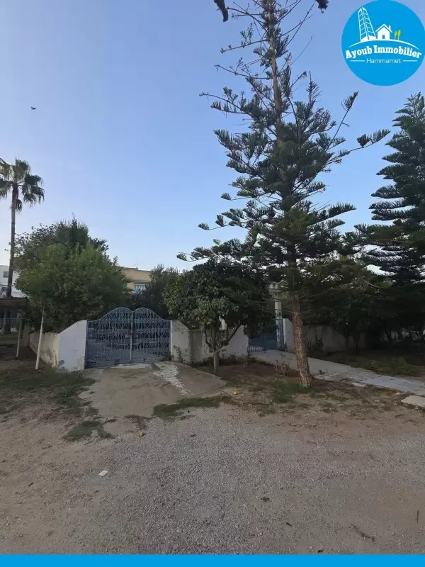 Ayoub Immobilier