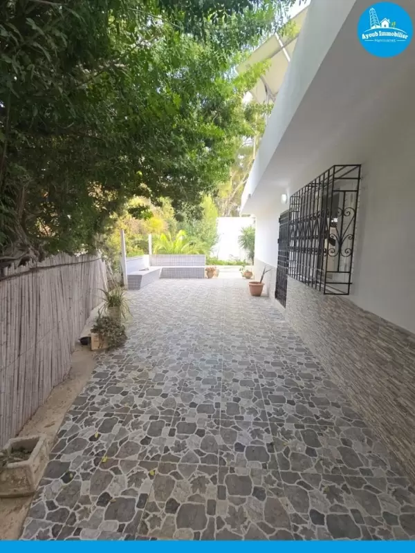 Ayoub Immobilier