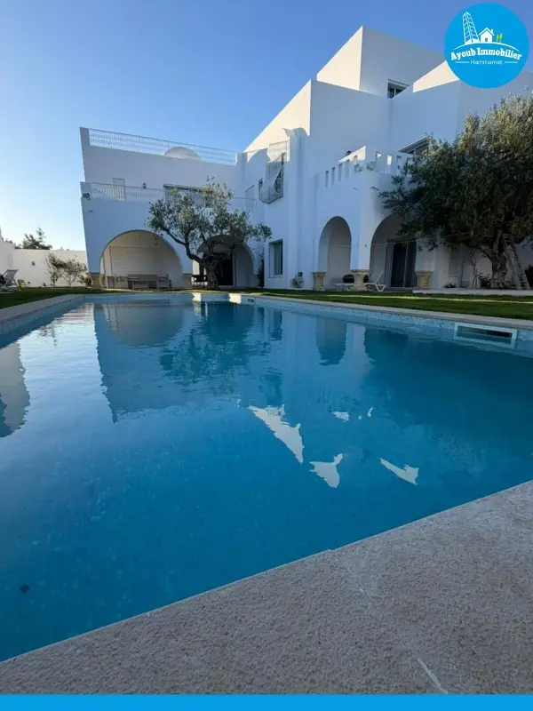 Ayoub Immobilier