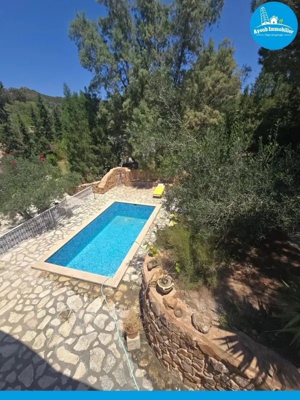 Ayoub Immobilier