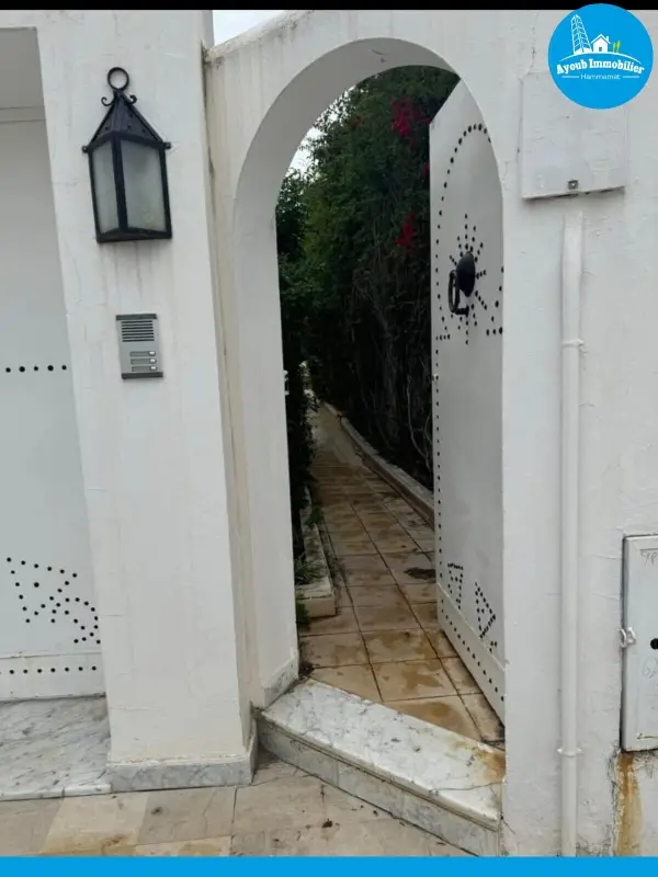 Ayoub Immobilier