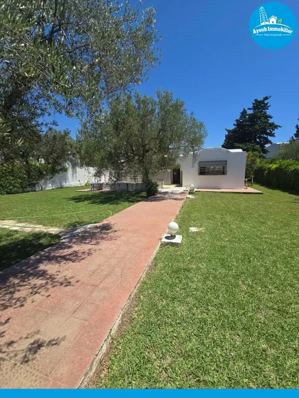 Ayoub Immobilier