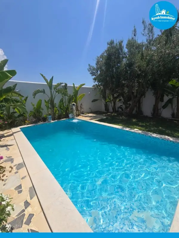 Ayoub Immobilier