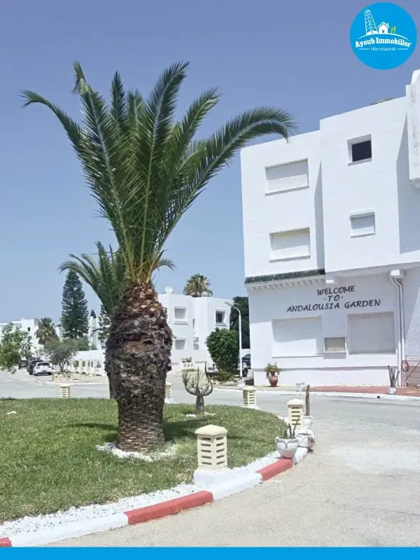 Ayoub Immobilier