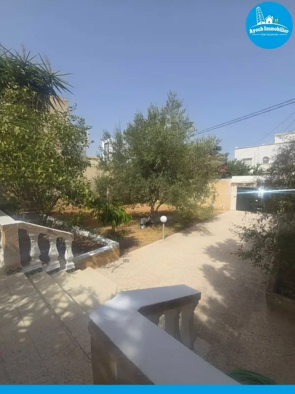 Ayoub Immobilier