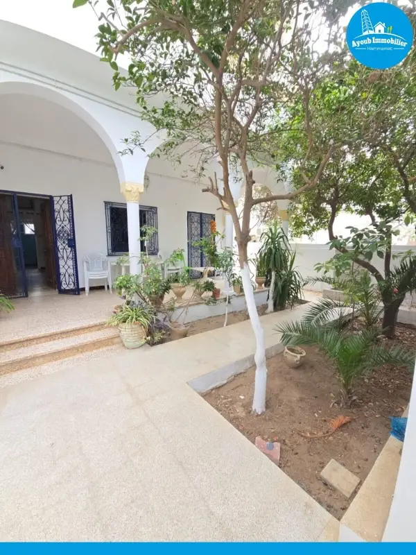 Ayoub Immobilier