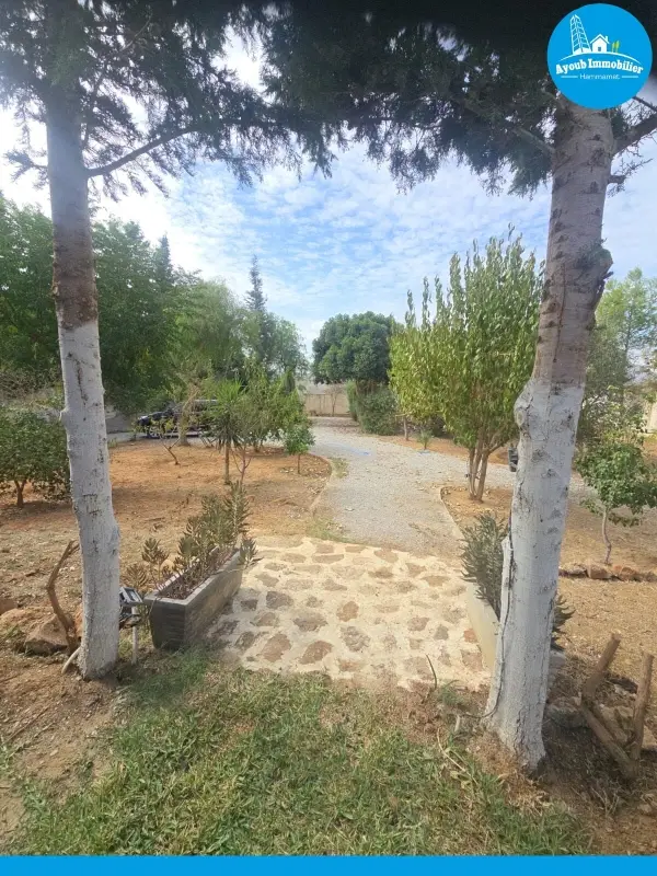 Ayoub Immobilier